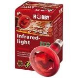 Hobby Infraredlight ECO