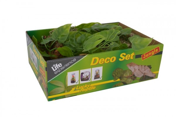 Lucky Reptile Life Experience-Deco Set Jungle