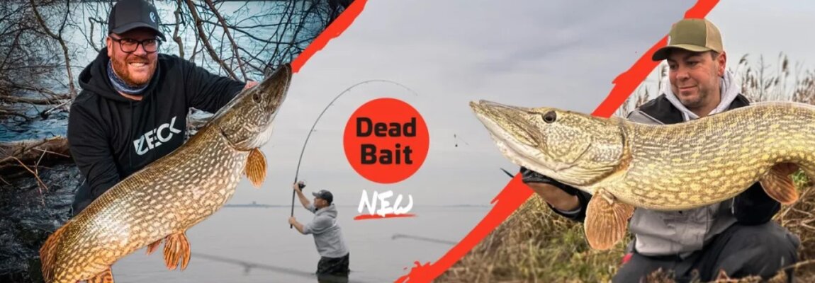 Neu im Shop - Zeck Deadbait Range – Ruten &amp; Zubehör für Zander &amp; Hecht