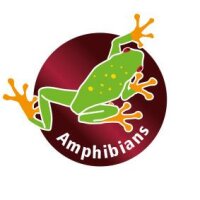 Hobby Infrarotlicht ECO 42W