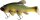 Quantum Freak of Nature Swimbait Tench 23cm 270g - Green Tench