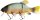 Quantum Freak of Nature Hybrid Tench 23cm 175g - Real Tench