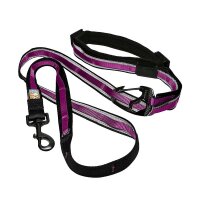 Kurgo Quantum Leash 6IN1 - Multifunktionsleine