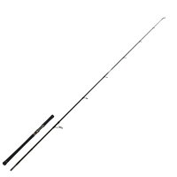 Zeck Fishing Evo Cat 243/120  - Wallerrute