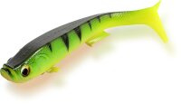 Quantum Tarp Shad