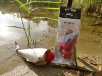 MR. Pike Bait Pop Up Kit rot