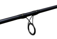 Delphin ARMADA CARP BlackWay 300cm/3,00lbs