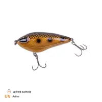 Zeck Fishing Rogue Glider/Jerk 12cm I 1,5m S