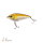 Zeck Fishing Rogue Glider/Jerk 12cm I 1,5m S