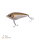 Zeck Fishing Rogue Glider/Jerk 12cm I 1,5m S