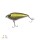 Zeck Fishing Rogue Glider/Jerk 12cm I 1,5m S