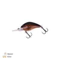 Zeck Danny 2.0 I 4,5cm I 2,0m F