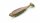 Nays PRDTR 5.0 Inch - C-03