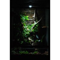 Lucky Reptile LED Sun Mini 5W