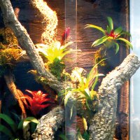 Lucky Reptile Tronchos Korkast 30-40cm