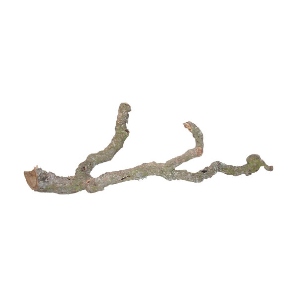 Lucky Reptile Tronchos Korkast 90-120cm