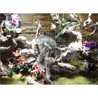 Lucky Reptile Premium Rebholz "XL"