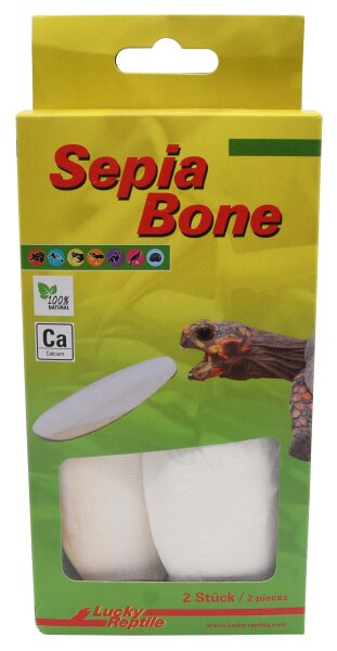 Lucky Reptile Sepia Bone