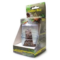 Lucky Reptile Critter Box groß