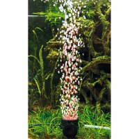 Hobby Air Spot Colour & Moon LED