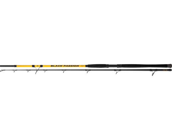Black Cat Black Passion G2 Allround Welsrute 2,70 m 600g