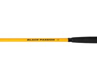 Black Cat Black Passion G2 Allround Welsrute 2,70 m 600g