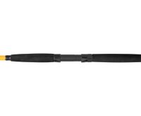 Black Cat Black Passion G2 Allround Welsrute 2,70 m 600g