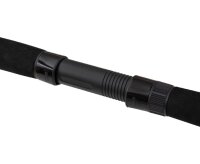 Black Cat Black Passion G2 Allround Welsrute 2,70 m 600g