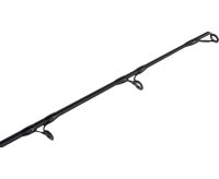 Black Cat Black Passion G2 Allround Welsrute 2,70 m 600g