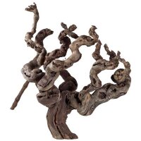 Hobby Weinrebenwurzel ca 30cm