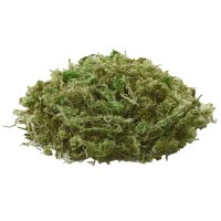 Hobby Natural  Moss 100g