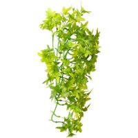 Hobby Terra Deko Climber Ivy hängend 37cm