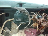 JBL Temp Protect II light L 130mm