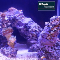 Dupla Marin Reef Former