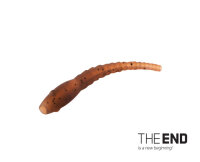 Delphin Wormer Aligner