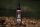 Korda GOO Frutti Di Mare Supreme 115ml