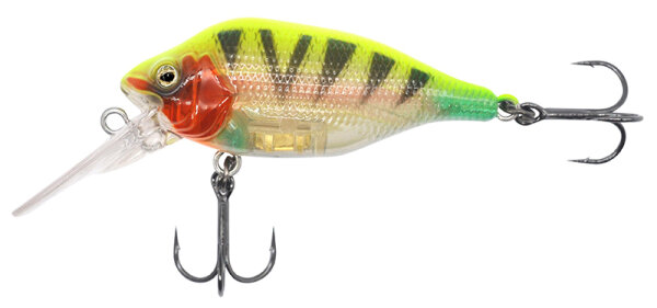 FR Funk Bug  DR 50mm UV Sun Tiger