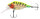 FR Funk Bug  DR 50mm UV Sun Tiger
