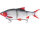 Westin Ricky The Roach Inline 25cm 210g Sinking Redlight Roach