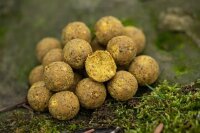 Aquatic Baits Sweet Gold HNV Bolies 24mm 2kg