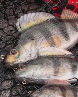 Fox Rage Ultra-Realistic Perch Replicant 10cm - 19g #8