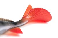 Fox Rage Ultra-Realistic Perch Replicant 10cm - 19g #8