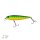Zeck Dundee 13,5cm 2,5 m SP Firetiger UV Active