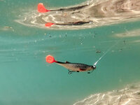 Delphin Kunstköder Realix 3D / 2St. 13cm