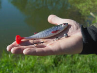 Delphin Kunstköder Realix 3D / 2St. 13cm