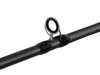 Delphin Zandera B-Cast 210cm 5-28g