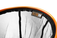 Delphin Spinnkescher Spin