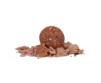 Avid Carp B8-Up Spice Boilies 20mm 5kg