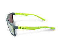 Delphin SG Atak Polarisationsbrille