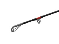 Delphin DANGER CatFish 285cm 350g 2Teile